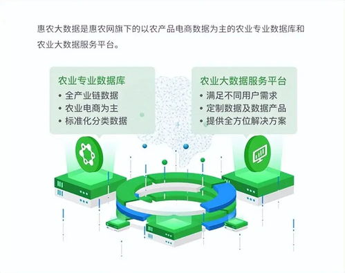 惠農網 數字化產業(yè)服務十年助農路，從追趕到超越的數字內容賦能之旅