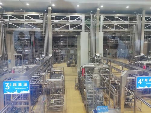 實(shí)地參觀，見證數(shù)字化力量 2024印刷業(yè)數(shù)字化工廠建設(shè)推進(jìn)會(huì)圓滿收官